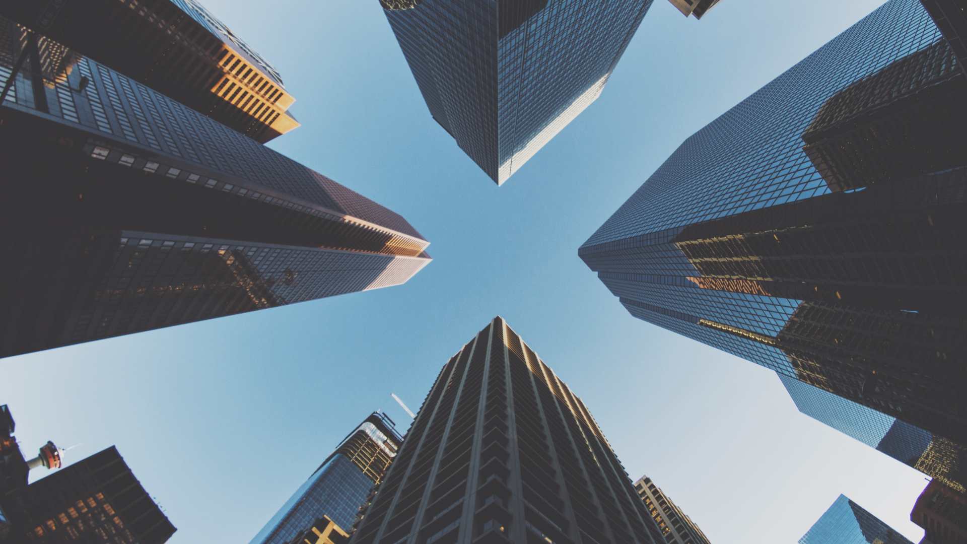 Rise Financial Solutions